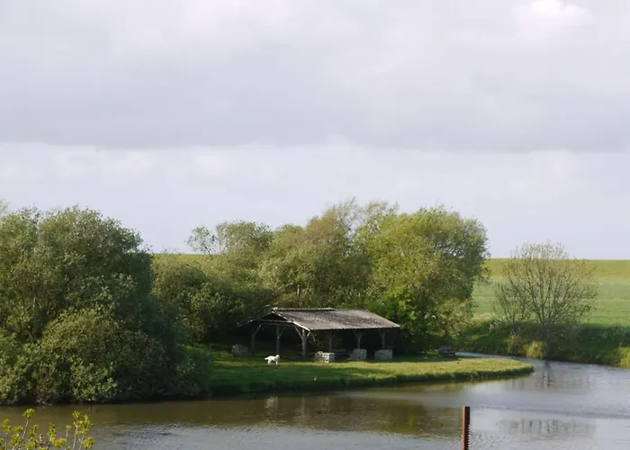 Osterdeich 5 * Dornum